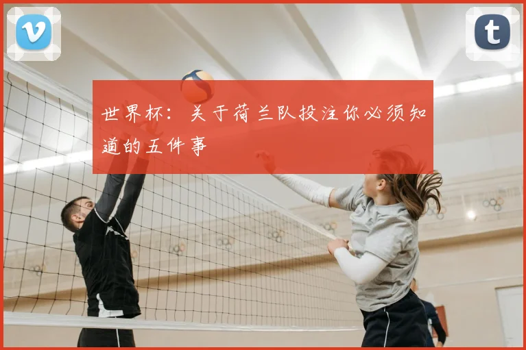 世界杯：关于荷兰队投注你必须知道的五件事